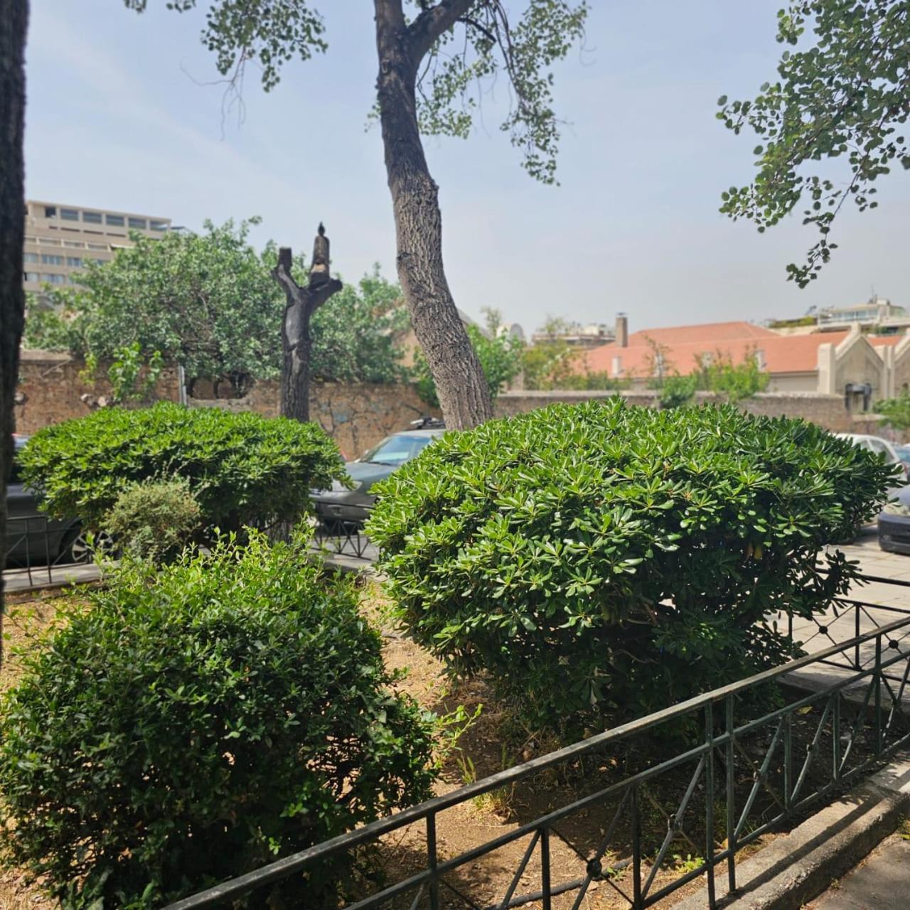 Diocharous Garden Apartment Афины Экстерьер фото